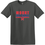 Mount St. Charles Softstyle T-Shirt